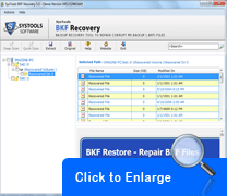 BKF Recovery Tool Screenshot